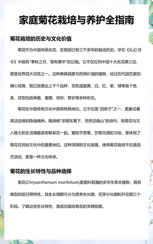 菊花代表什么品质?深入解析菊花的品格象征与家庭园艺栽培指南 菊花品种基础档案
