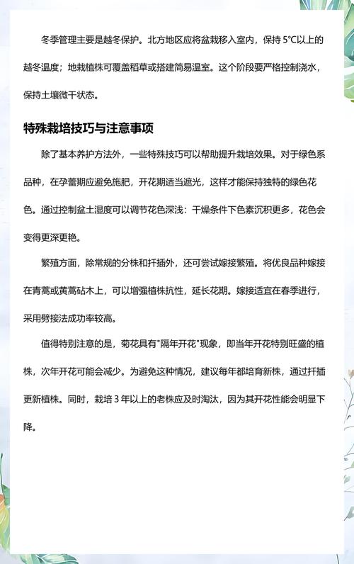 菊花代表什么品质?深入解析菊花的品格象征与家庭园艺栽培指南 光照与水肥精准方案