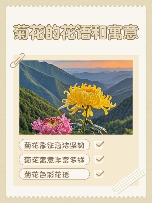 菊花代表什么品质?深入解析菊花的品格象征与家庭园艺栽培指南 总结:核心可执行动作3条