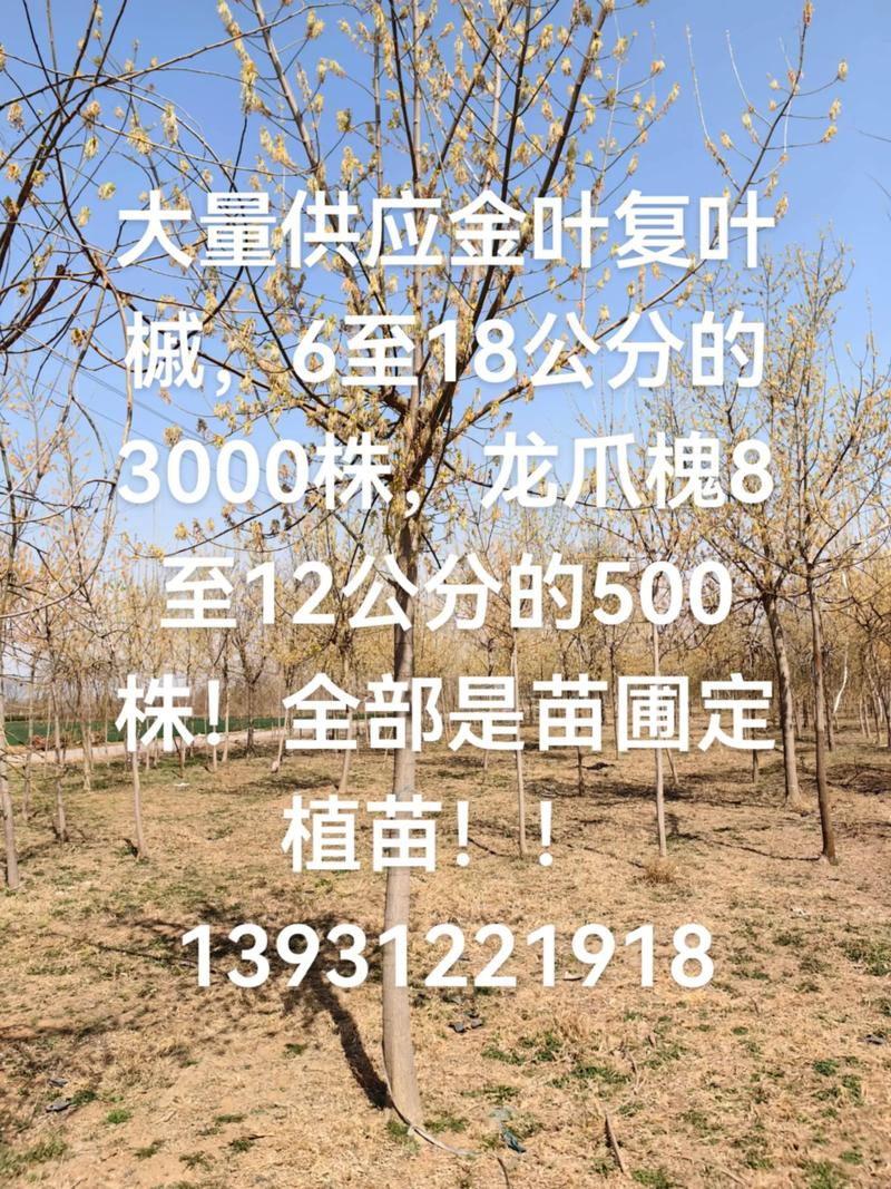 规格决定价格基准：高度与地径是核心