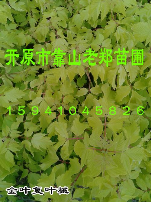 咨询指南：如何获取精准报价？