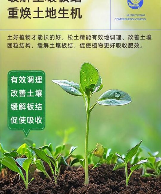 土壤板结怎么办？家庭养护6大核心技巧，让土壤疏松透气不板结