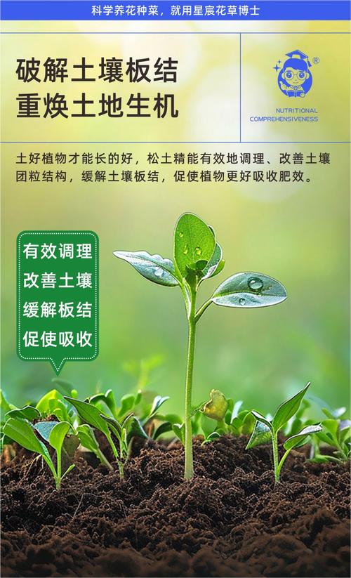 土壤板结怎么办?家庭养护6大核心技巧,让土壤疏松透气不板结 土壤板结怎么办?家庭养护6大核心技巧,让土壤疏松透气不板结