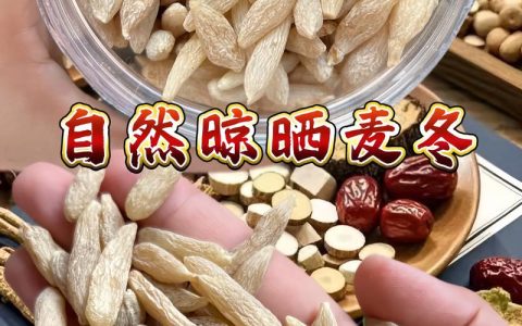川麦冬和麦冬哪个好？2026年药用与园艺价值对比分析