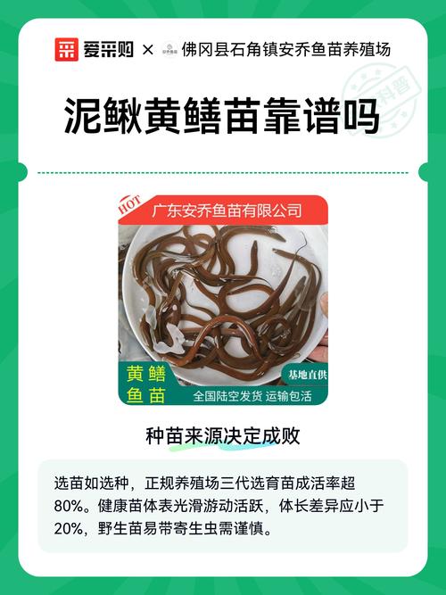 三、鱼苗健康状态评估