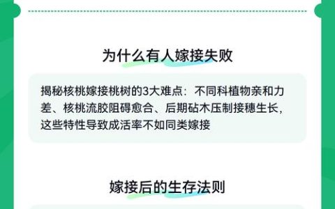 核桃树嫁接砧木选择指南：最适与绝对禁忌的树种全解析