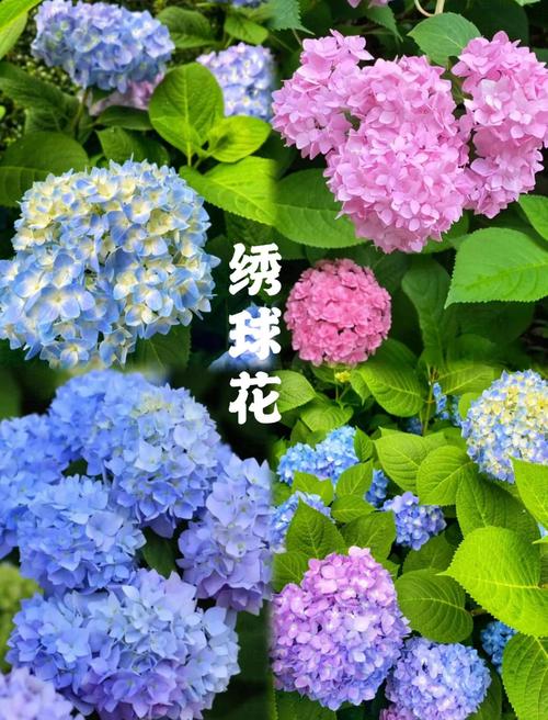 常见误区与纠正