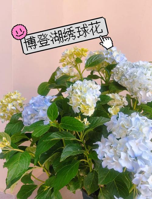 总结（核心可执行动作3条）