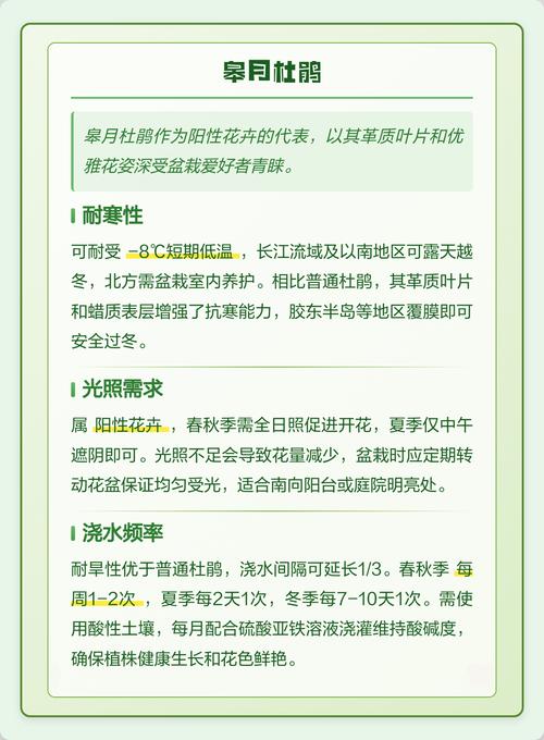 杜鹃花养护全攻略:从品种选择到花期管理的实用技巧 结语