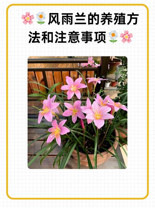 水陆缸种植物用什么土?一份超实用的土壤选择与操作指南 一、适宜时间:室内水陆缸无严格季节限制,但新手建议避开盛夏