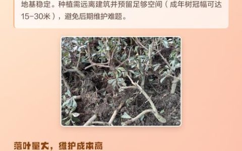 玉兰树种植避坑指南：害虫、风水与养护难点全解析