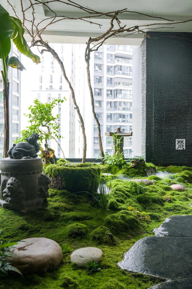 二、苔藓的选择：适合你的那一抹绿