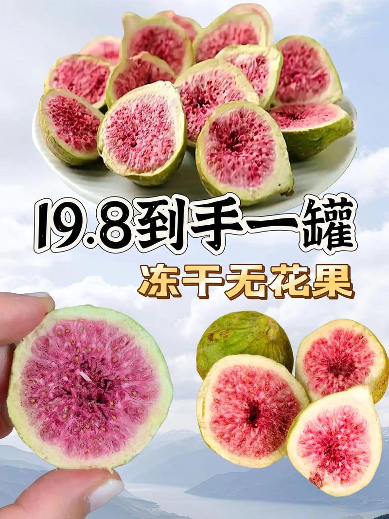 冻干无花果和干无花果哪个好?从营养、口感与工艺全面对比 三、场景化选择建议