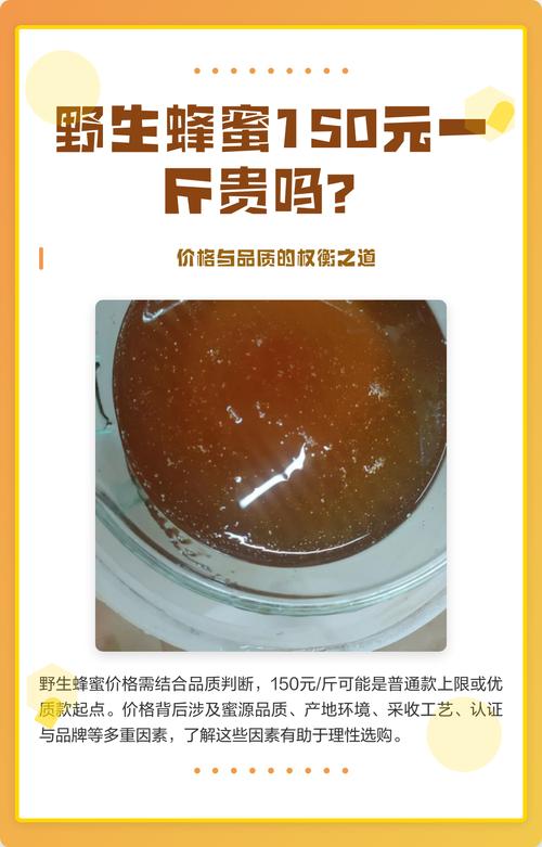 价格总览表（2024-2025年参考区间）