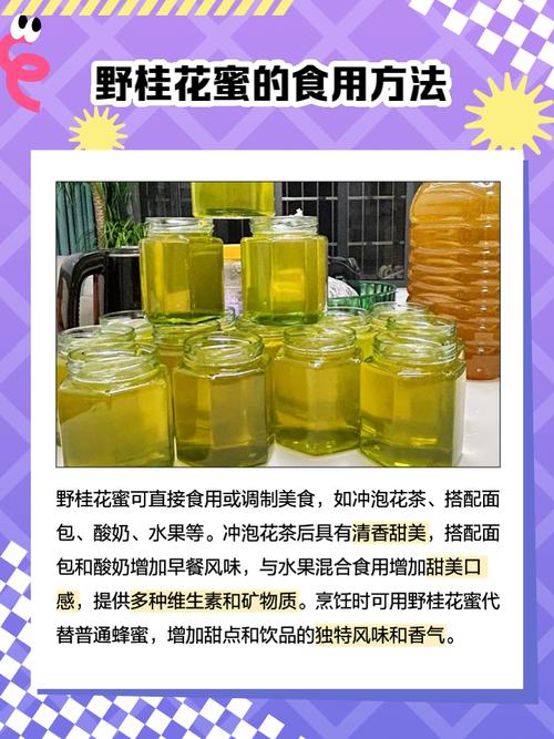 咨询指南