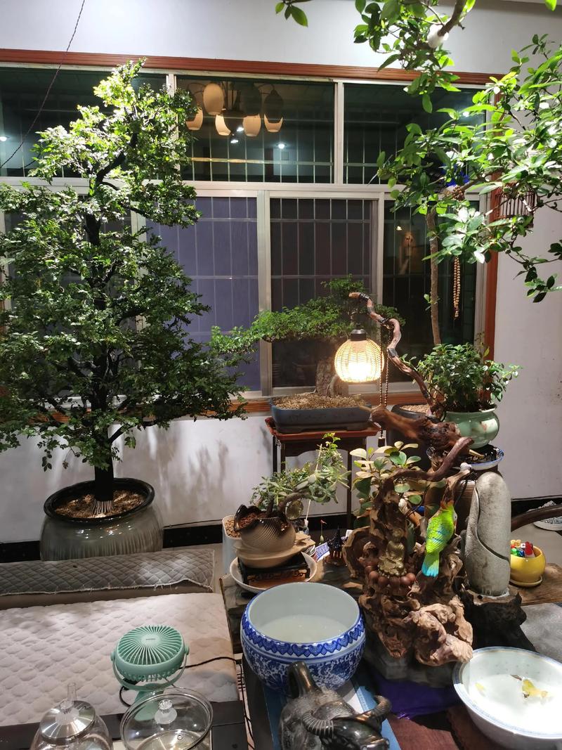 搭配禁忌与养护要点