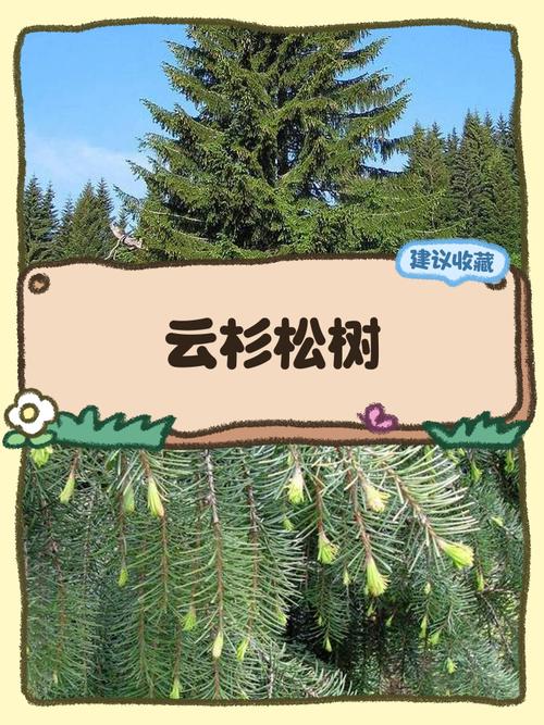 影响因素综合对比表