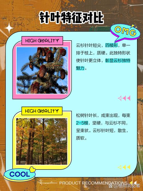 询价指南：如何获取精准报价