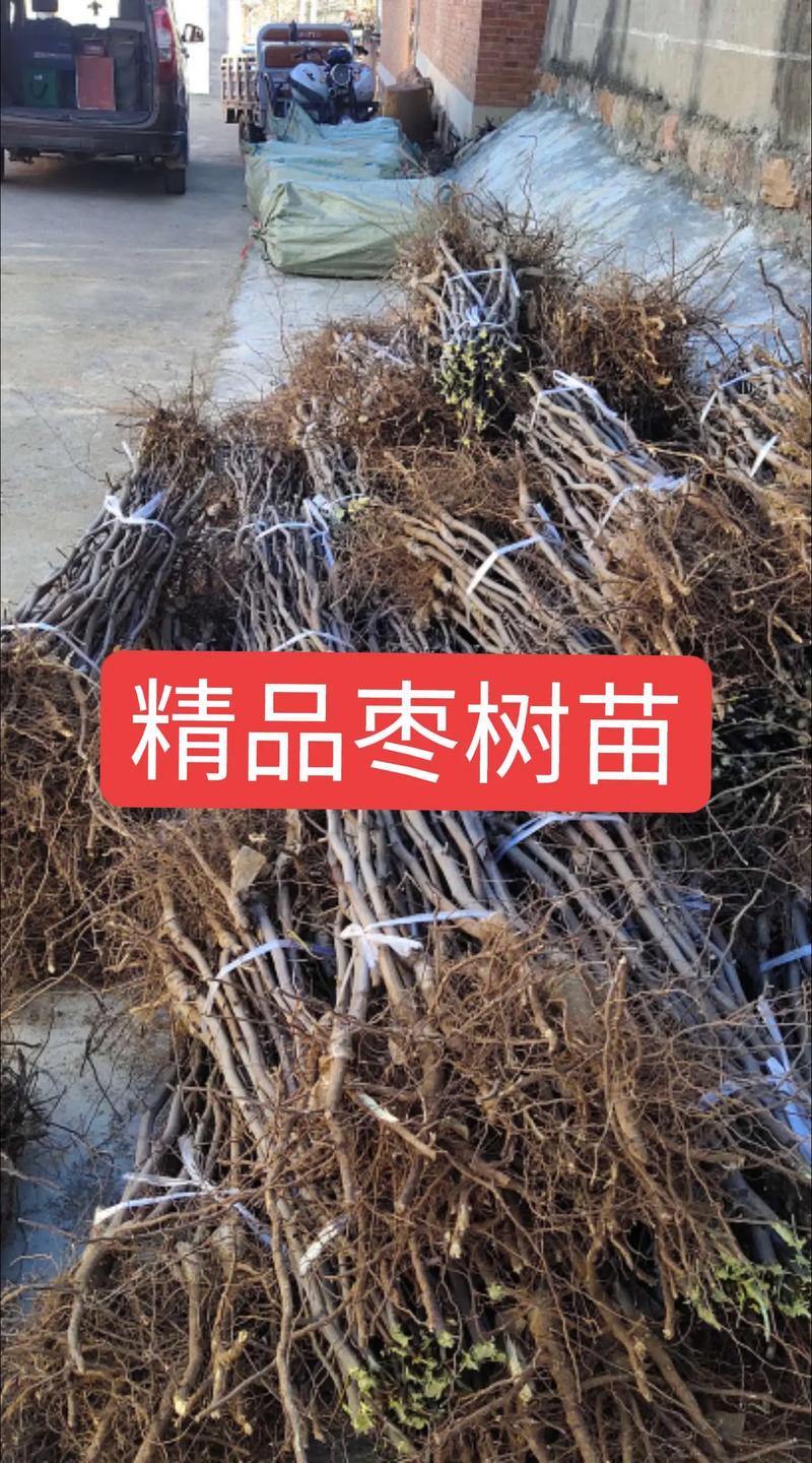 三、季节：春秋两季价格走势不同
