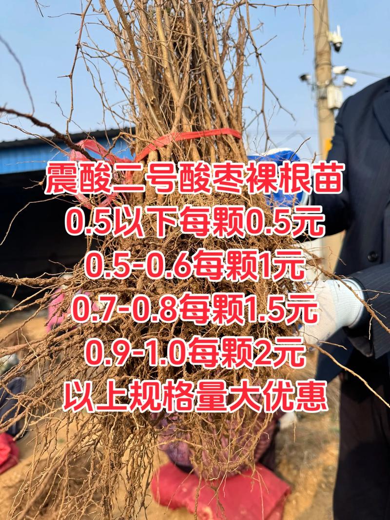 五、运输：物流成本占总价10%~30%