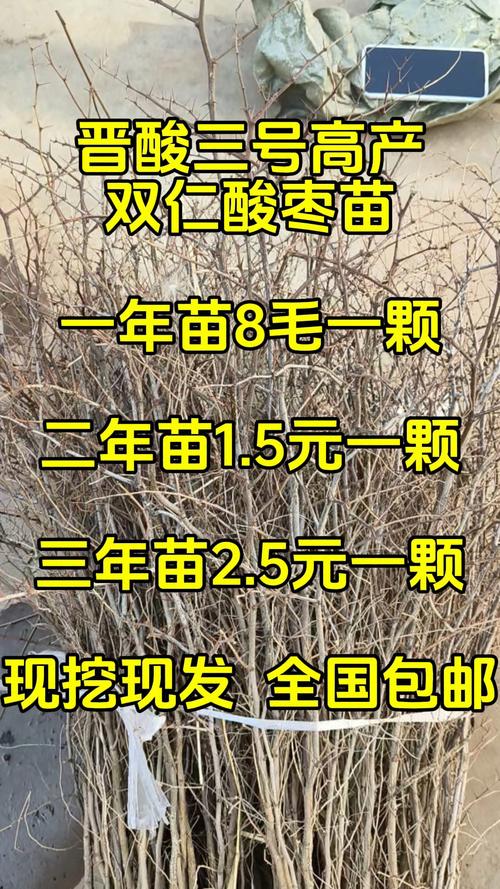 七、常见问题（FAQ）