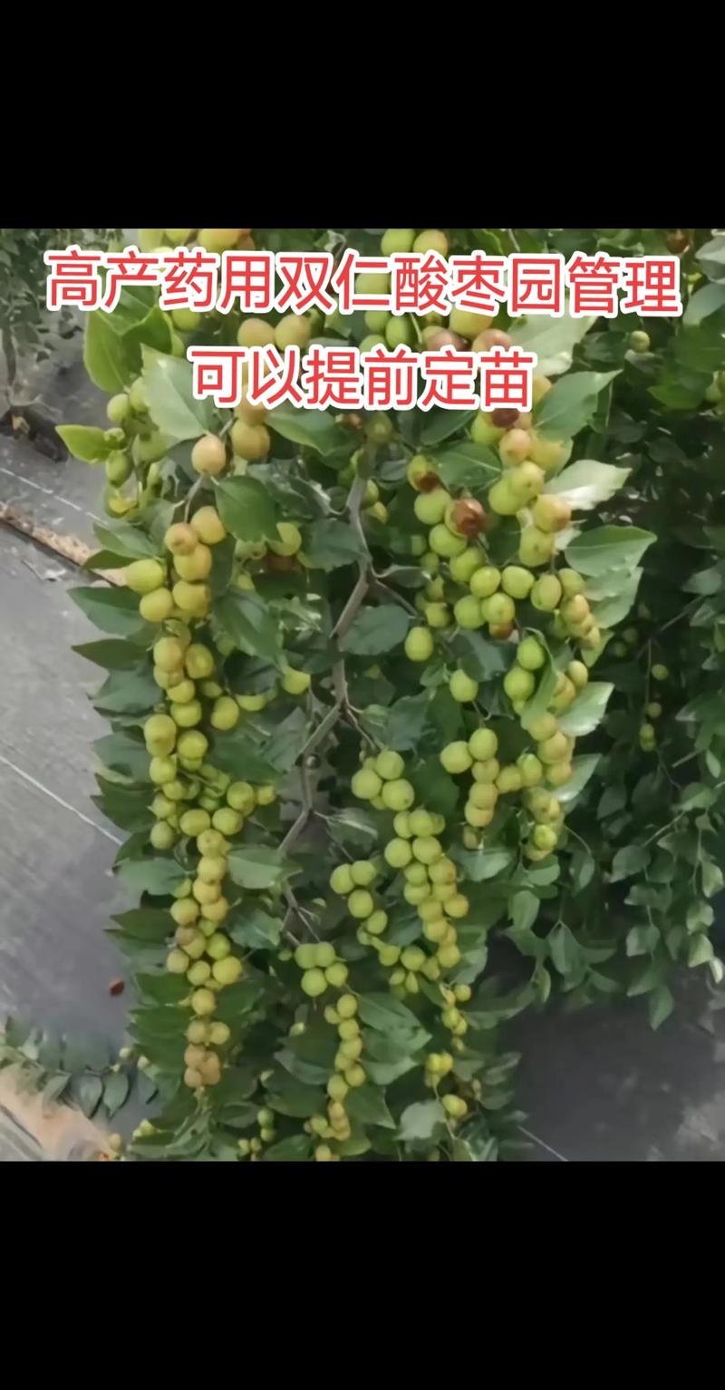 八、咨询指南：如何获取精准报价？