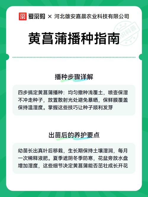 四、播种深度与密度