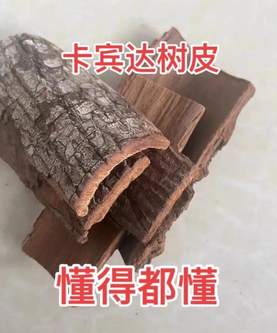 安哥拉的树皮多少钱一斤？2025年最新价格参考与影响因素分析