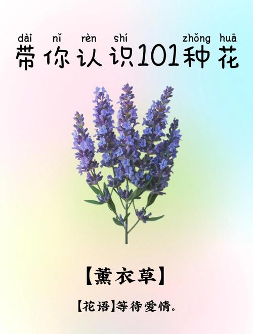 土壤要求：pH与排水决定成败