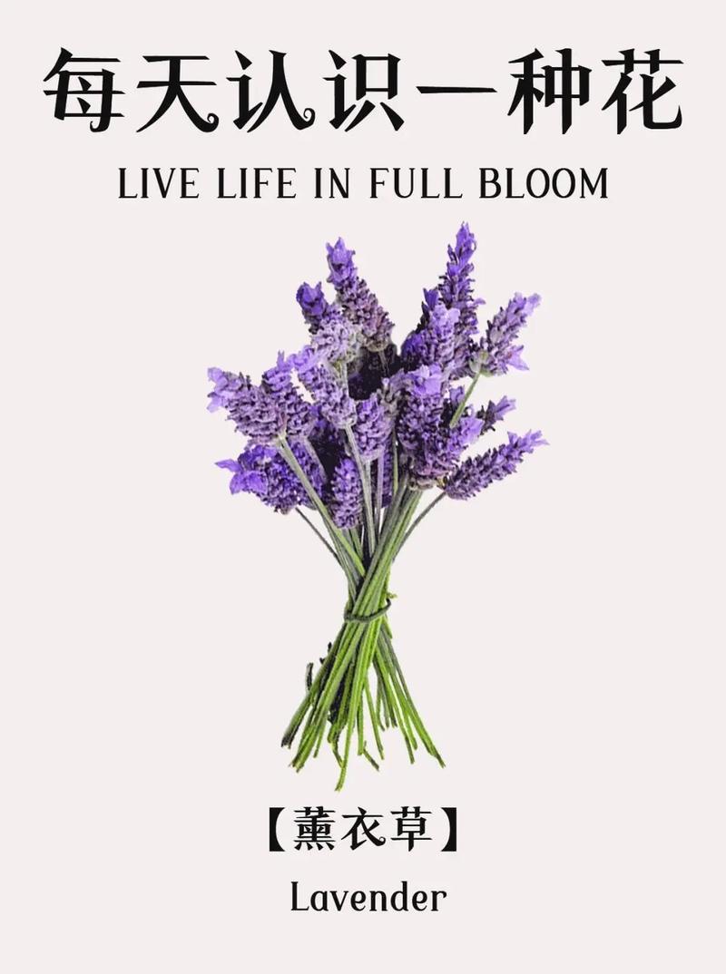 常见误区纠正