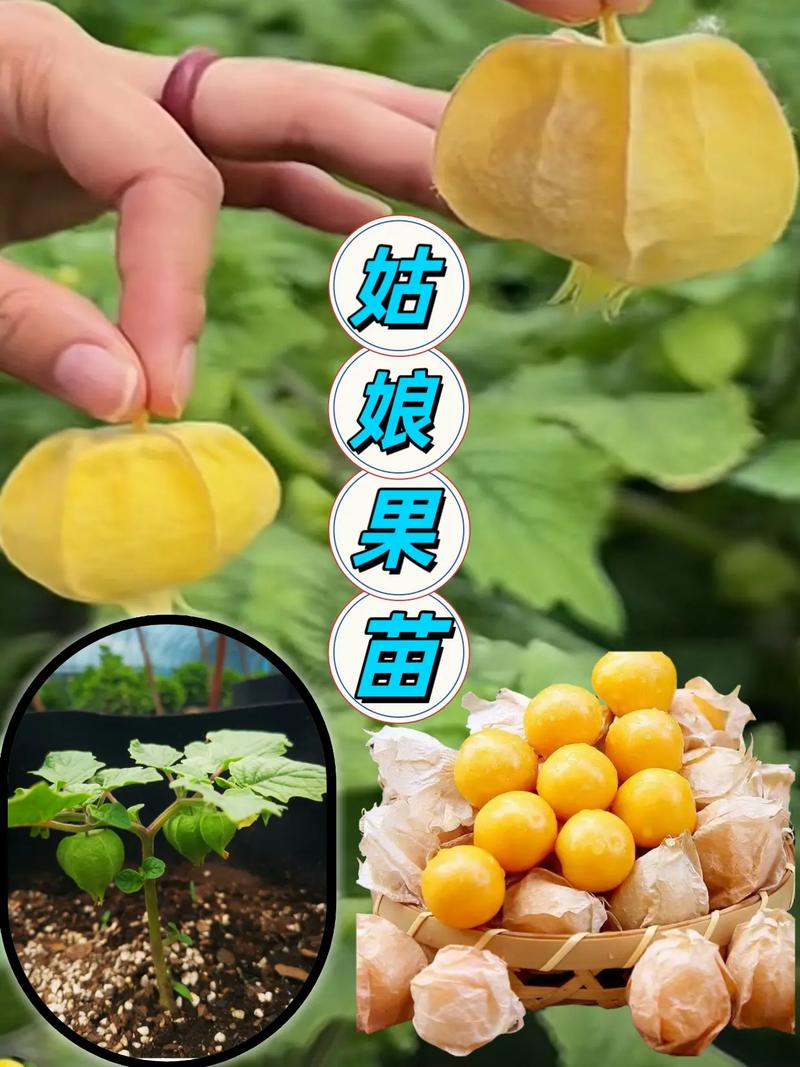 价格综合对比表