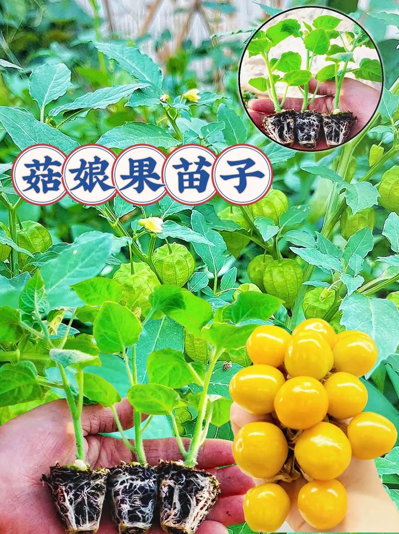 物流运输对价格的影响