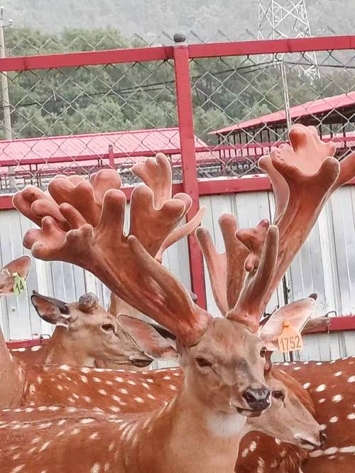 运输因素：隐性成本