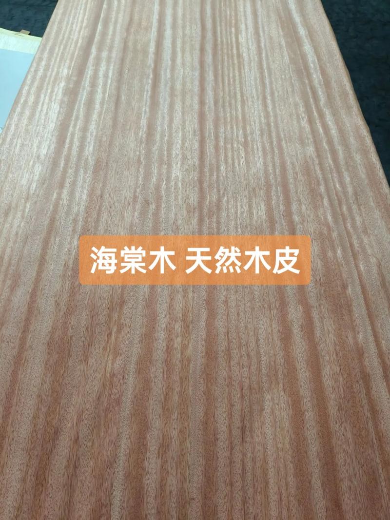 总结：核心可执行动作3条