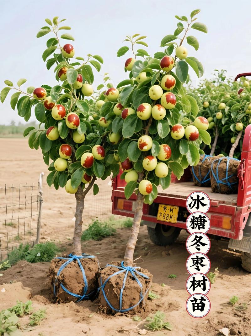 季节波动：春秋两季价格上浮10%-20%