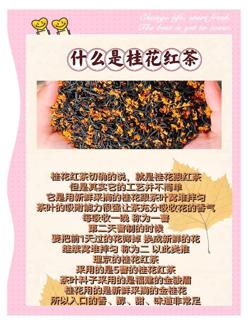 桂花茶配什么喝?五种搭配让你喝出不同风味 小结