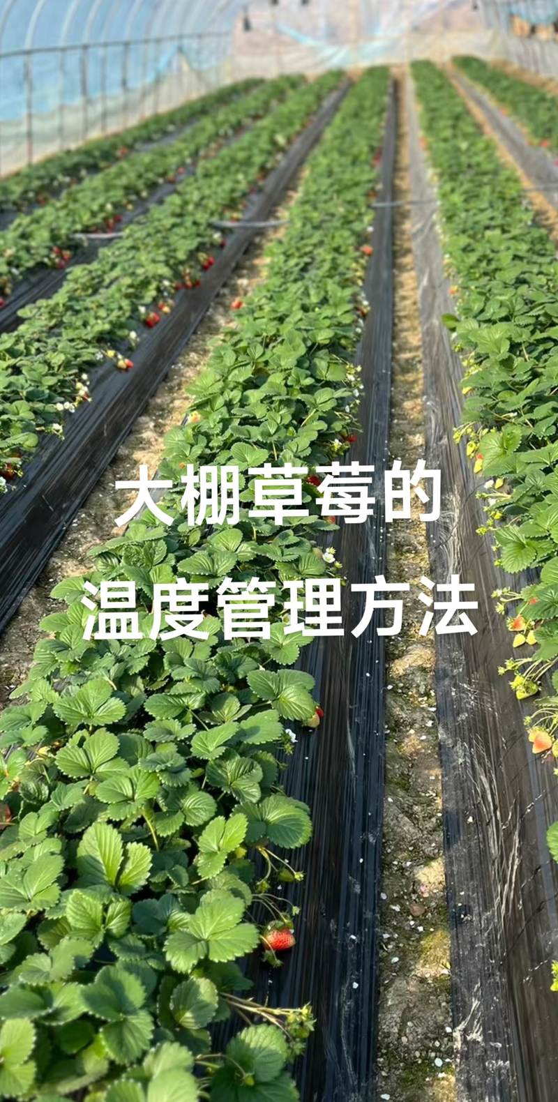 总结：解决问题的关键在“预防”