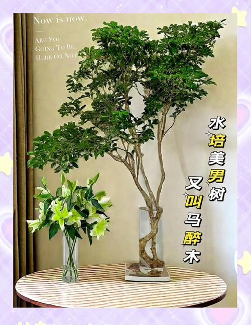 核心特征对比