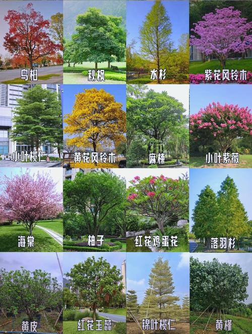 常见误区澄清