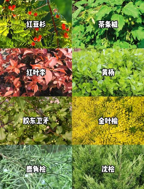水质净化能力解析