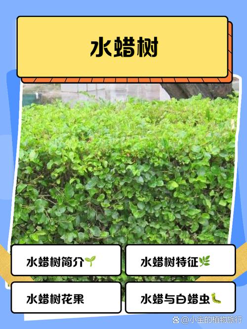 常见问题 FAQ