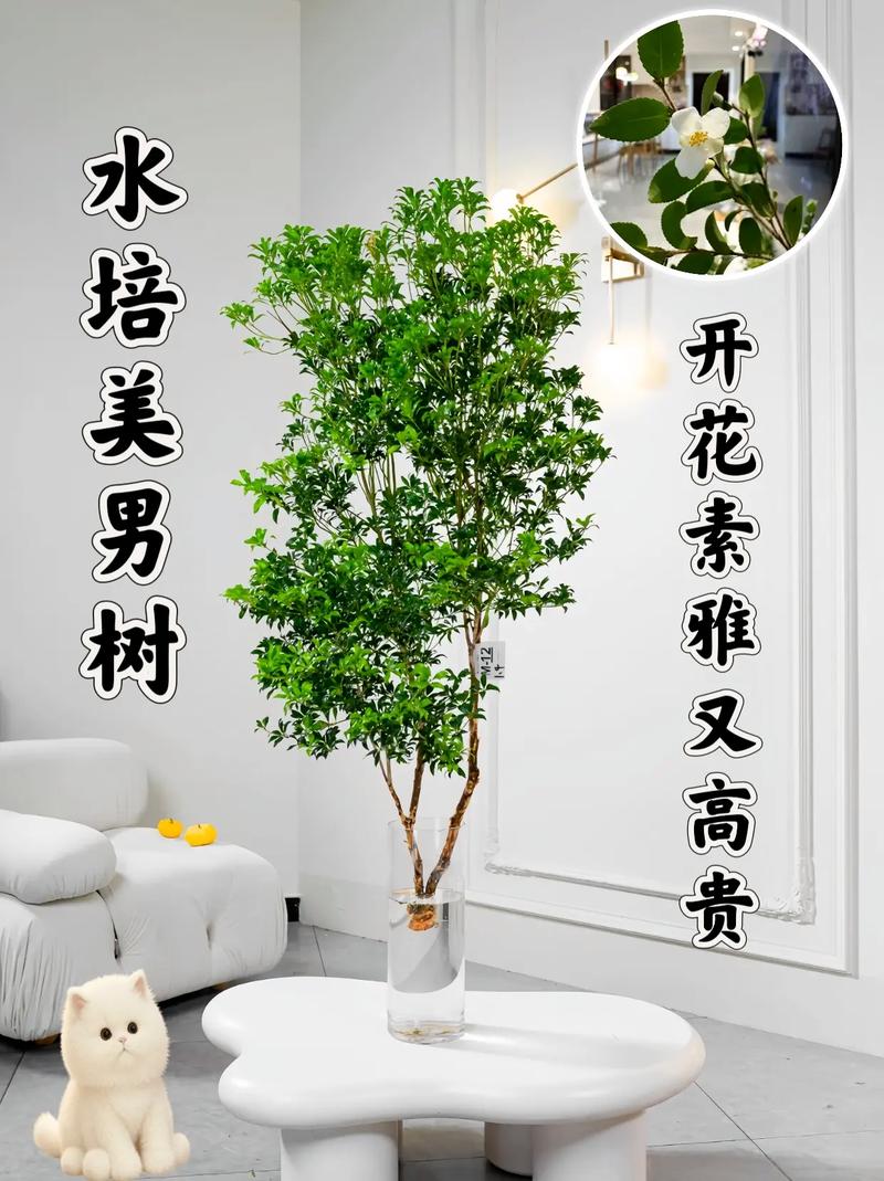 总结
