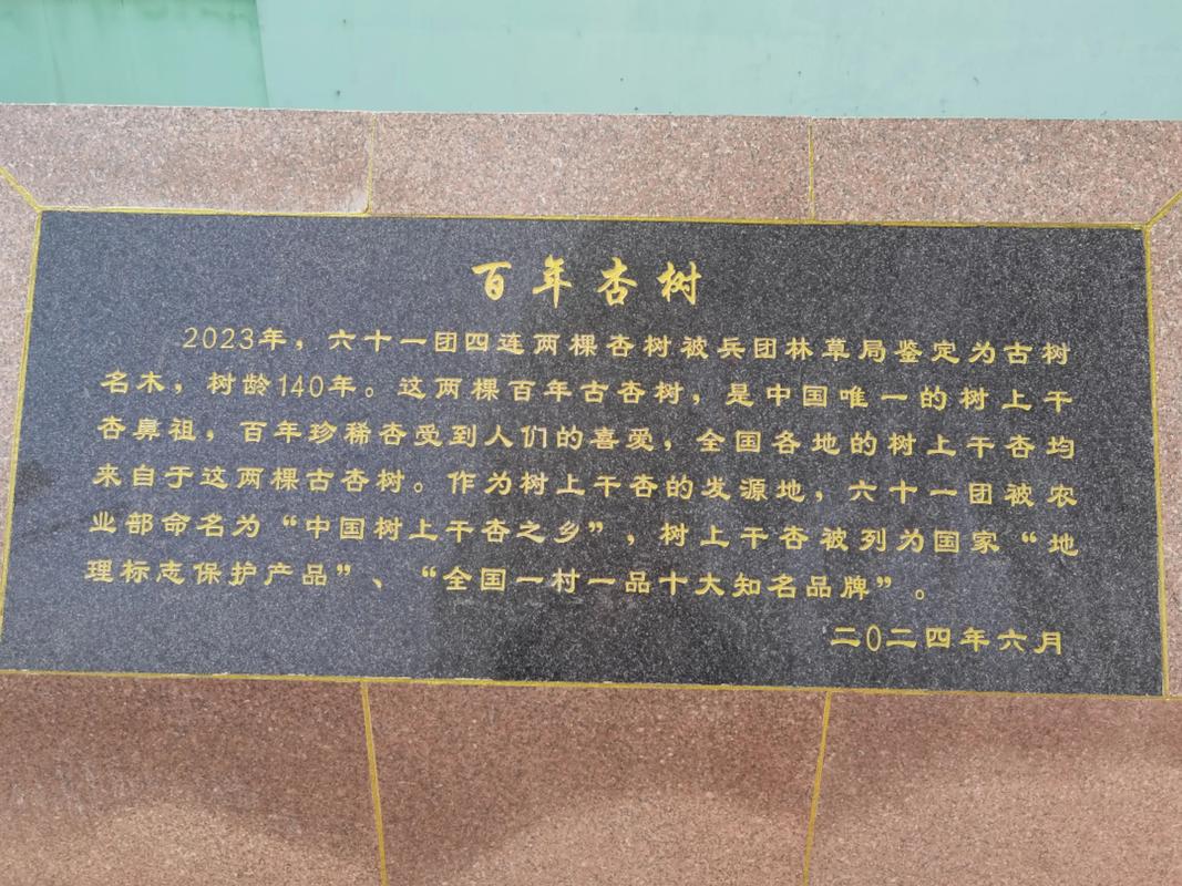 银杏树有2.7亿年历史:从活化石到现代园林的完整演化与栽培指南 银杏的树形与遮荫能力:冠幅10-15m,分枝点2.5-3m