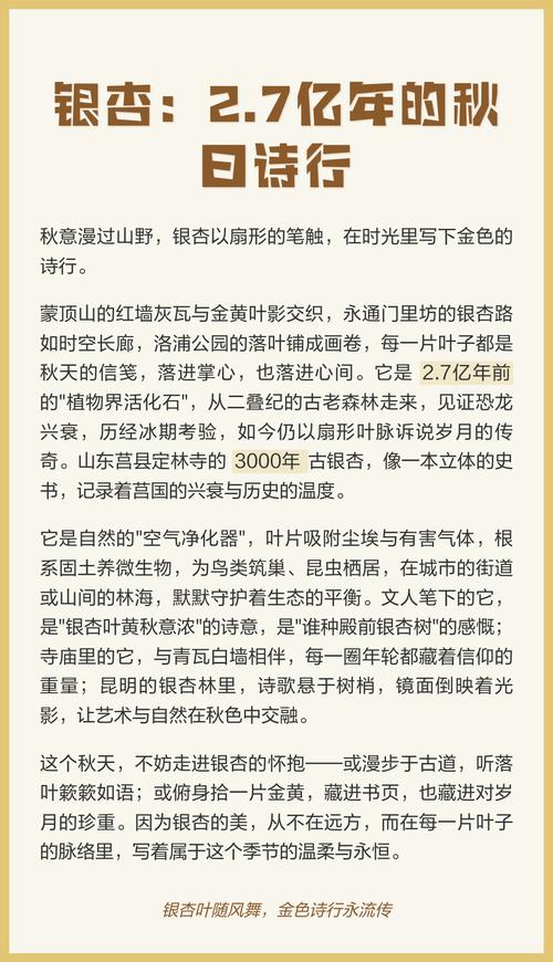 银杏树有2.7亿年历史:从活化石到现代园林的完整演化与栽培指南 行道树与庭院规格选型:胸径10-12cm为最佳移栽规格