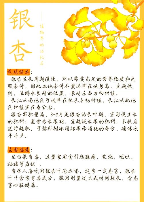银杏树有2.7亿年历史:从活化石到现代园林的完整演化与栽培指南 全冠移栽技术详解:落叶后至萌芽前为最佳移栽时间