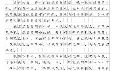 荷花：水景园艺中的生态净化与景观核心