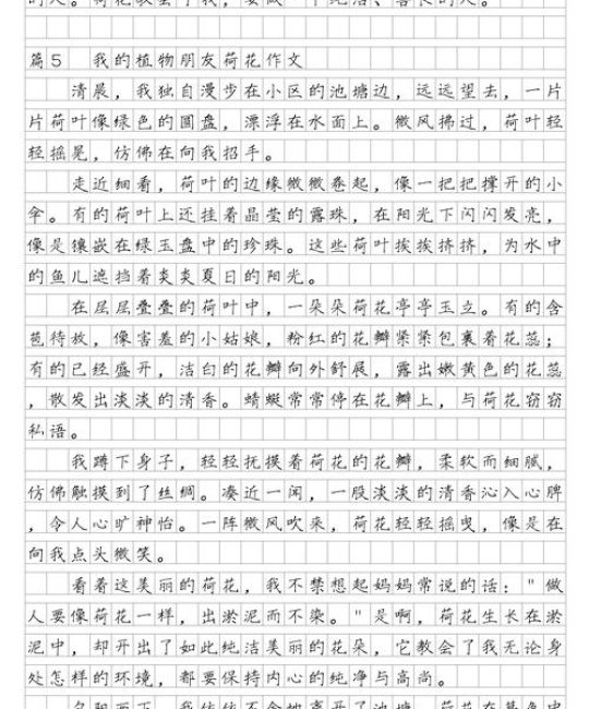 荷花：水景园艺中的生态净化与景观核心