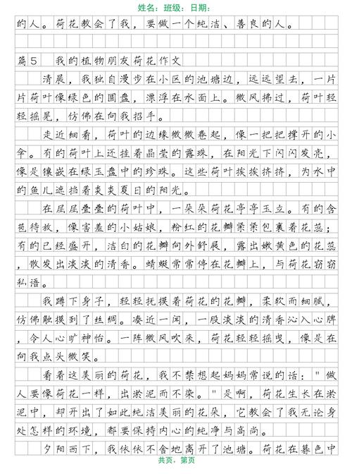 荷花：水景园艺中的生态净化与景观核心