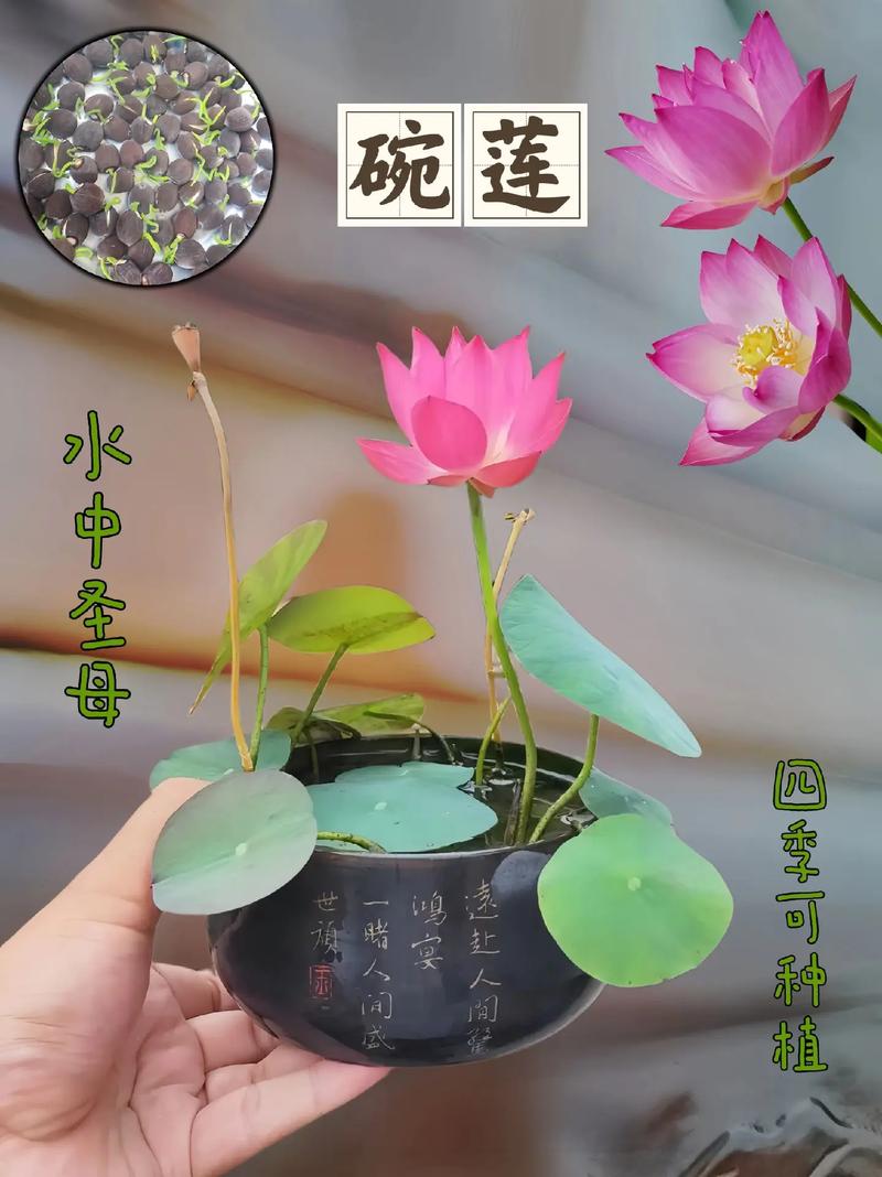 总结