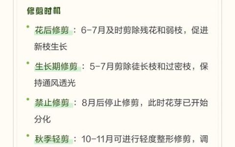 栀子花不开花怎么办？4大原因排查与解决方案